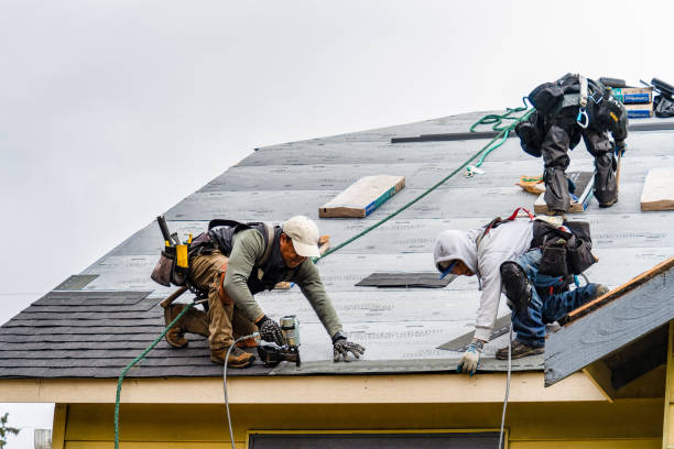 Professional Emergency Roof Repair technician working in Walburg, TX